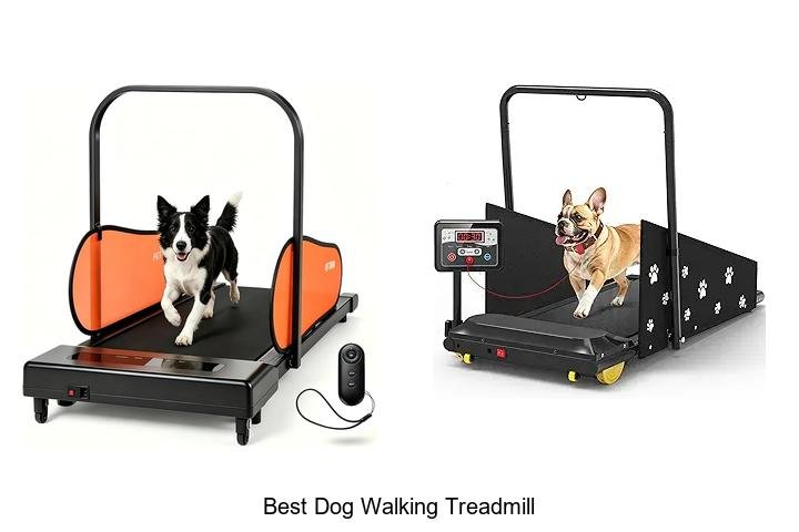 Top 13 Best Dog Walking Treadmill You Can’t Miss Today